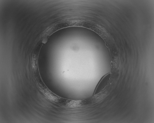 X0000084040138200702232335