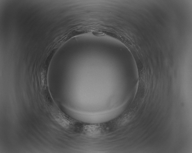 X0000084040139200702232335