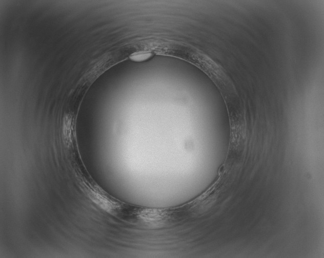 X0000084040142200702232335