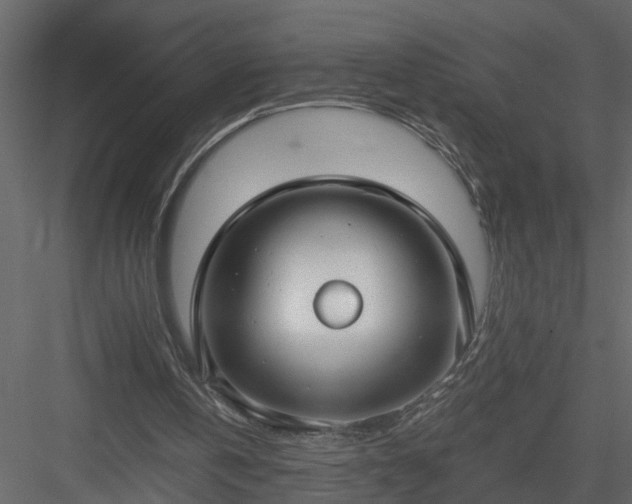 X0000084040146200702232334