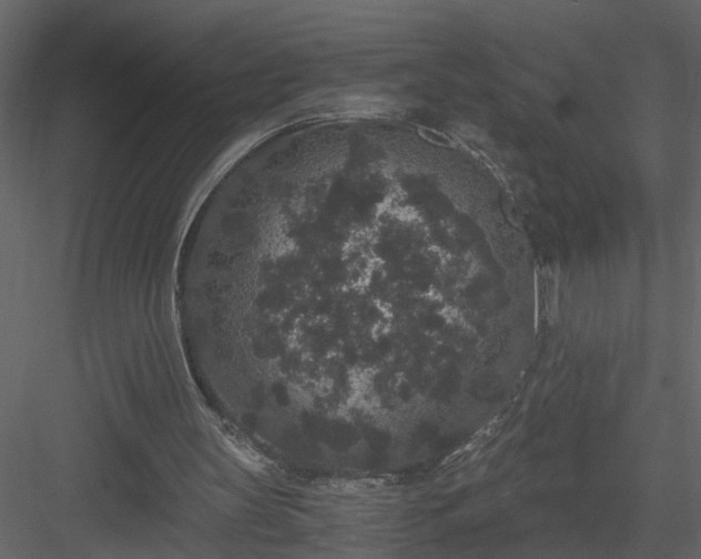 X0000084040147200702232334