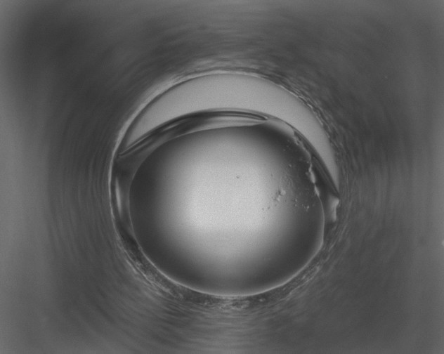 X0000084040148200702232334