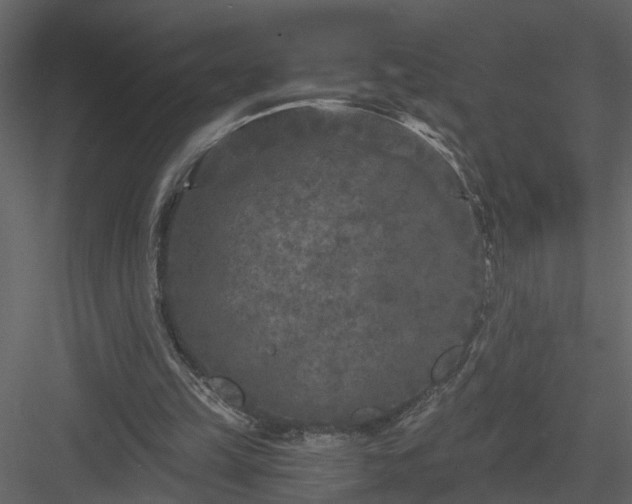 X0000084040149200702232334