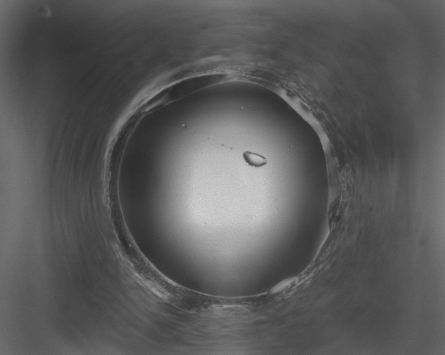 X0000084040150200702232334