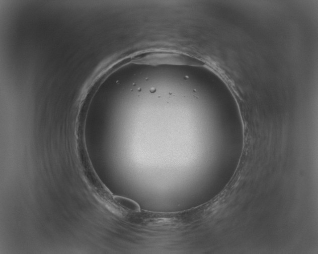 X0000084040151200702232334