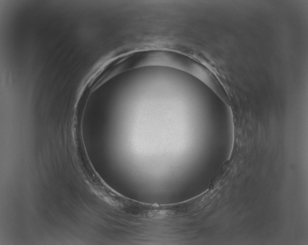 X0000084040152200702232334