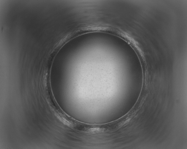 X0000084040153200702232334