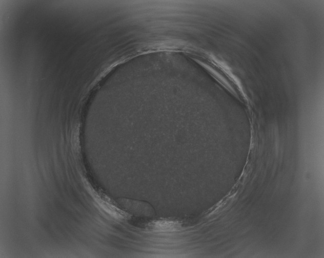 X0000084040154200702232334