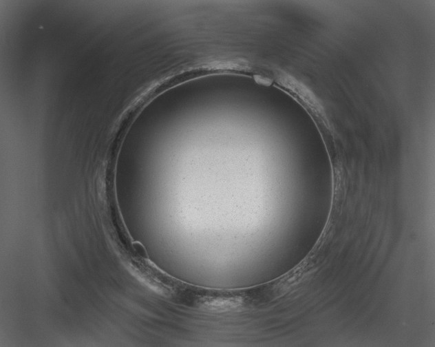 X0000084040155200702232334