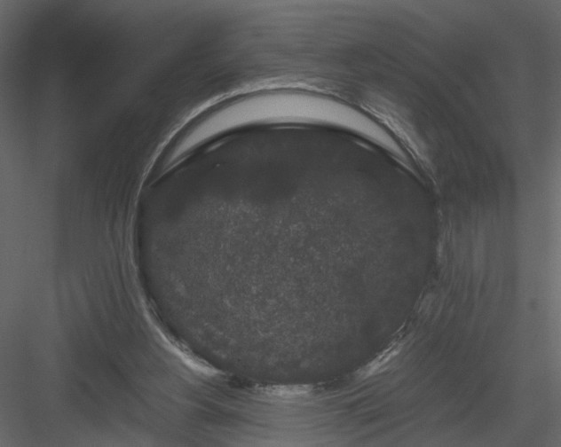 X0000084040156200702232334