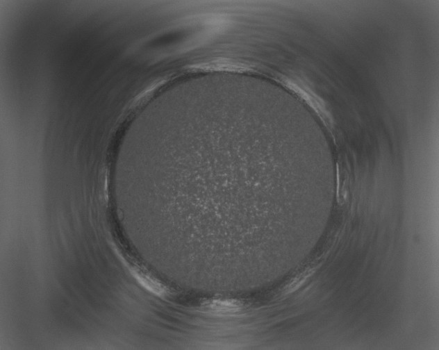 X0000084040157200702232334