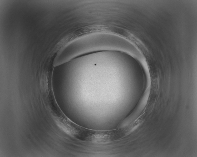 X0000084040158200702232334