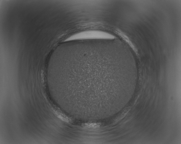 X0000084040161200702232334