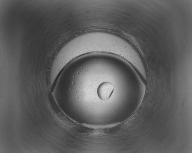 X0000084040162200702232334