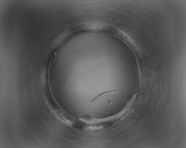 X0000084040163200702232334