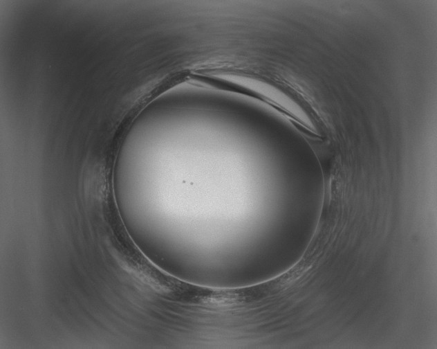 X0000084040164200702232334