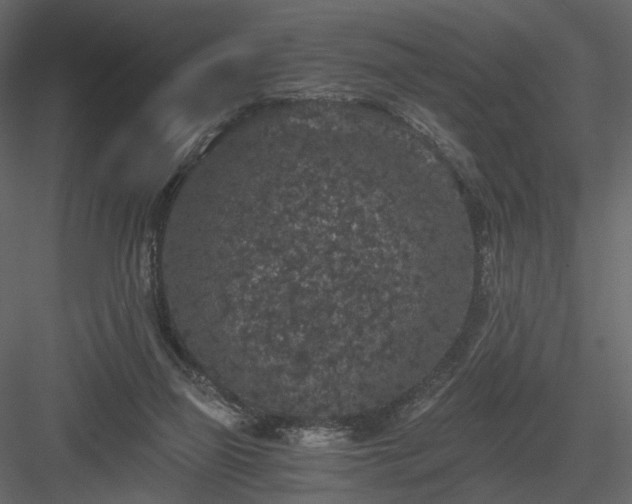 X0000084040165200702232334