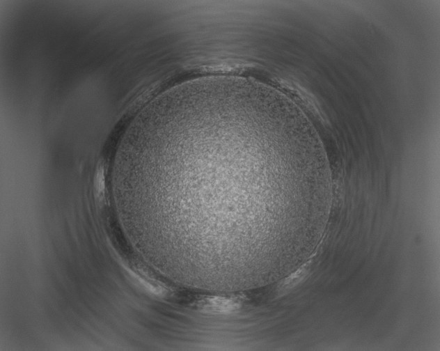 X0000084040166200702232334