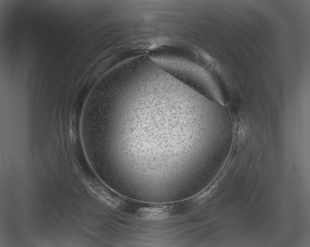 X0000084040170200702232334