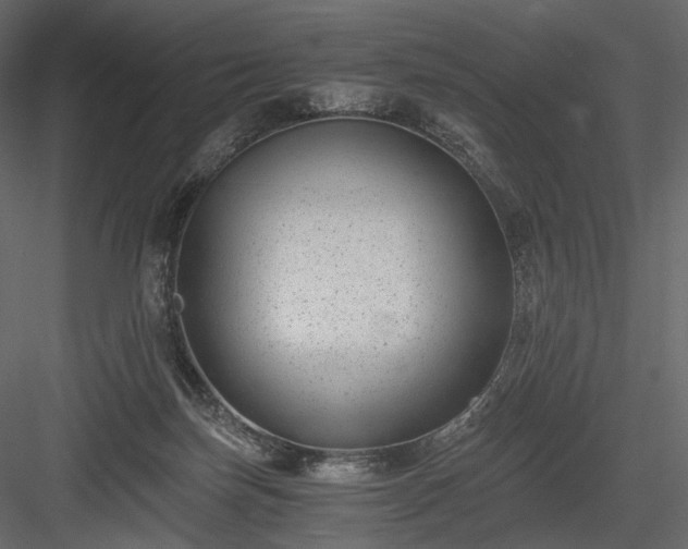 X0000084040171200702232334