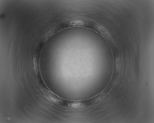 X0000084040173200702232334