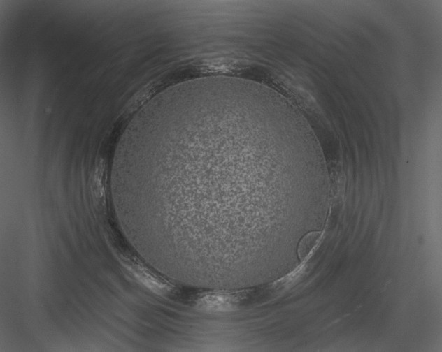 X0000084040174200702232334