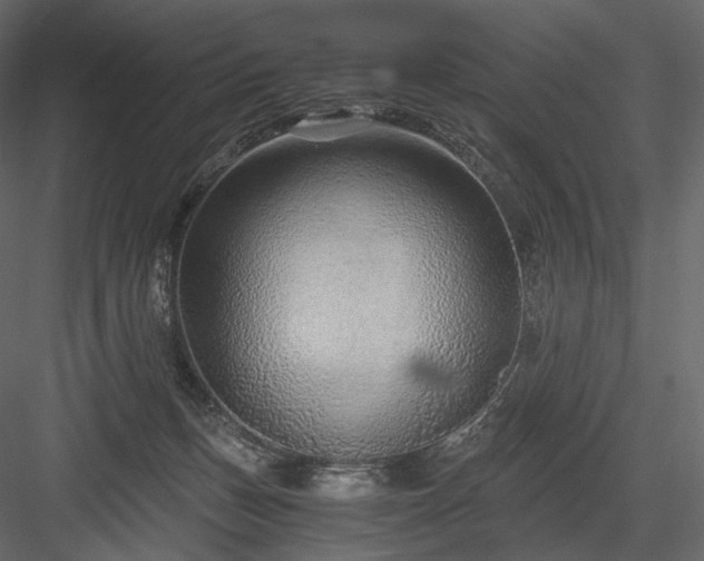 X0000084040175200702232334