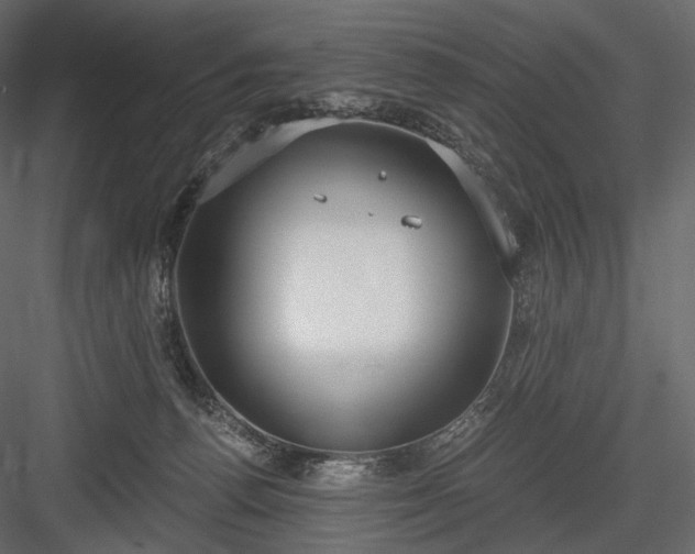 X0000084040176200702232334