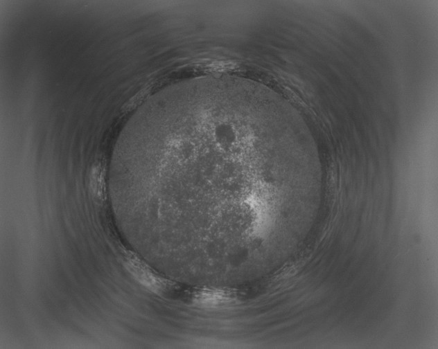 X0000084040177200702232334