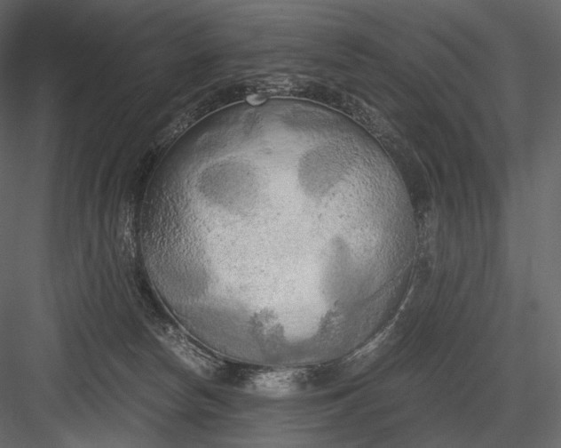 X0000084040178200702232334