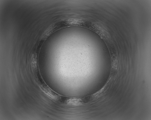 X0000084040179200702232334