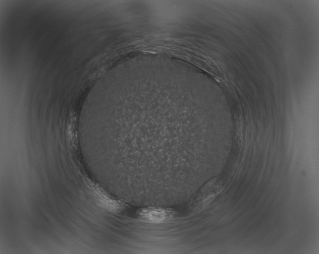 X0000084040181200702232334