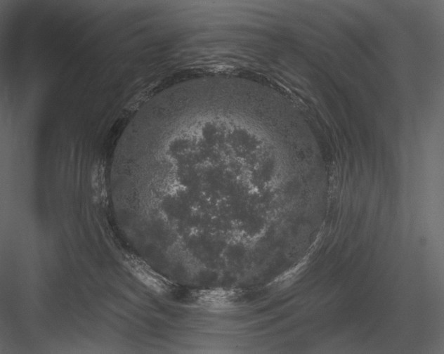 X0000084040182200702232334