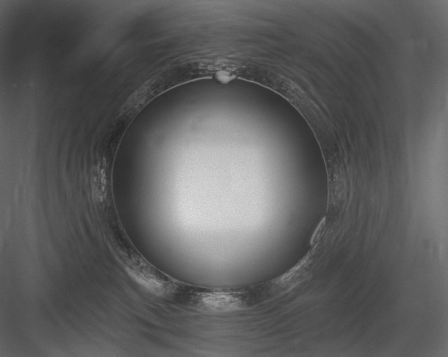 X0000084040183200702232334