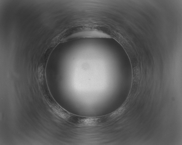 X0000084040184200702232334