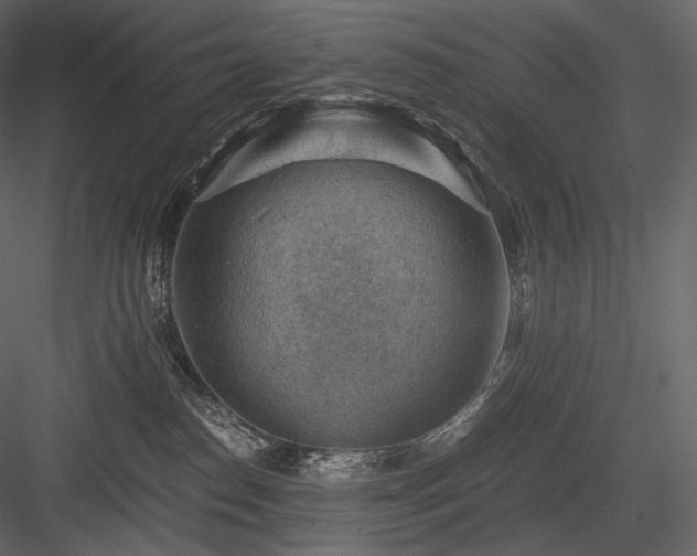 X0000084040186200702232334