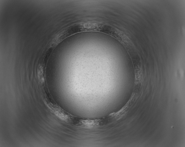 X0000084040187200702232335