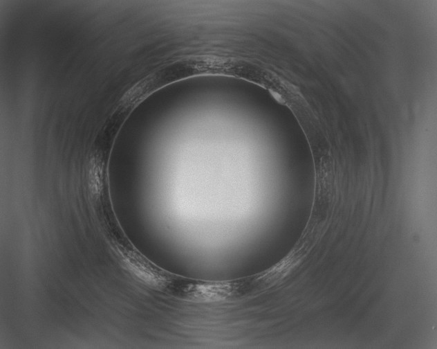 X0000084040188200702232335