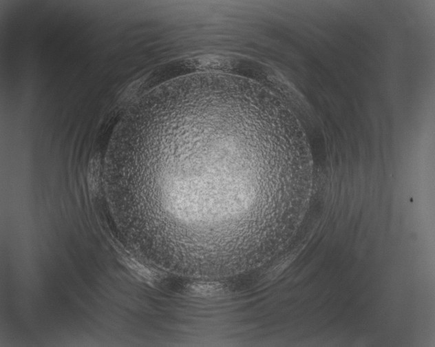 X0000084040189200702232335