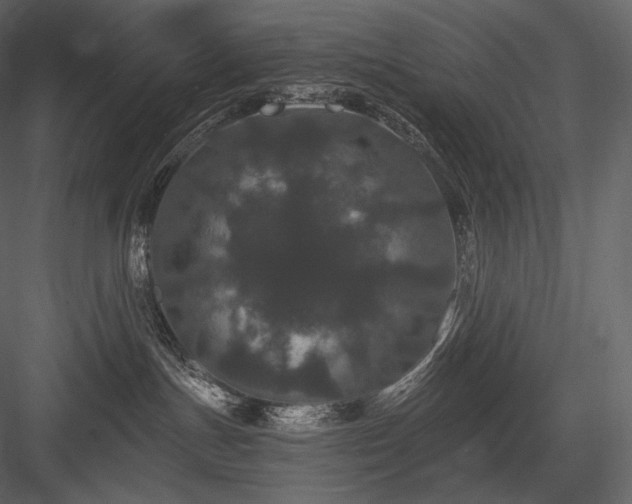 X0000084040191200702232335