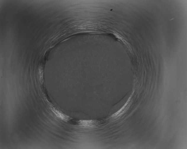 X0000084040192200702232335