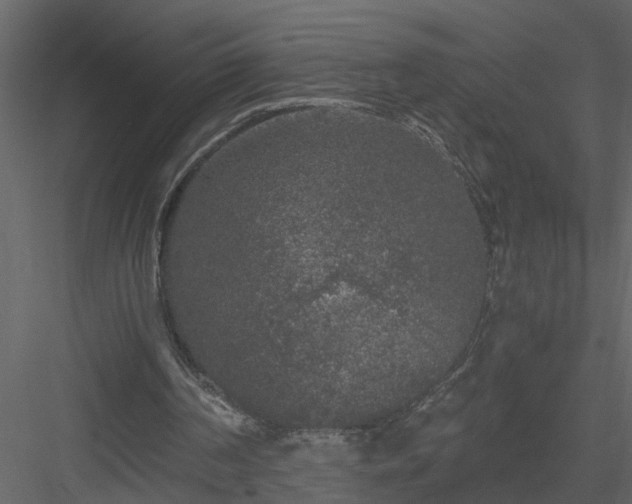 X0000084040194200702232334