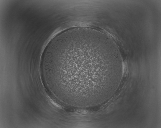 X0000084040195200702232334