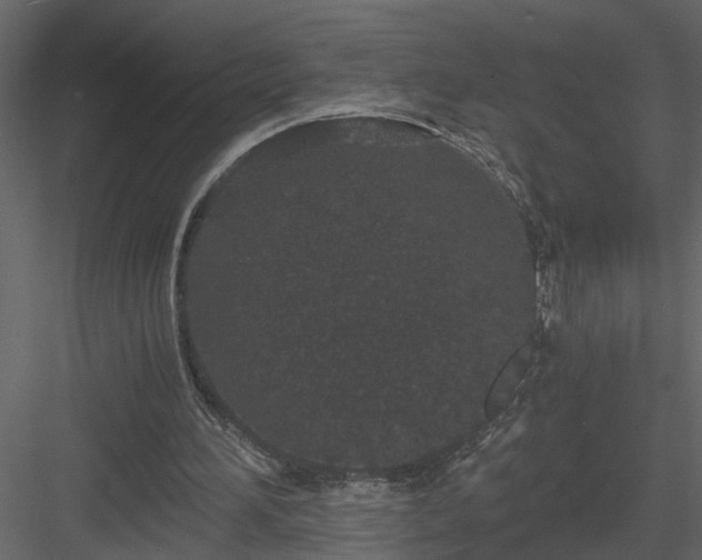 X0000084040196200702232334