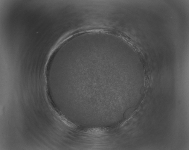 X0000084040198200702232334