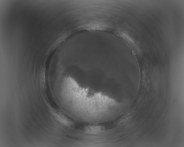 X0000084040202200702232334