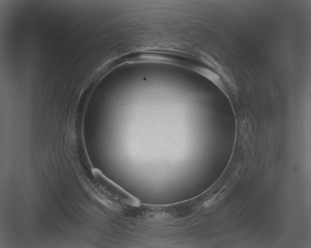 X0000084040203200702232334