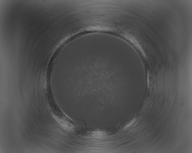 X0000084040204200702232334