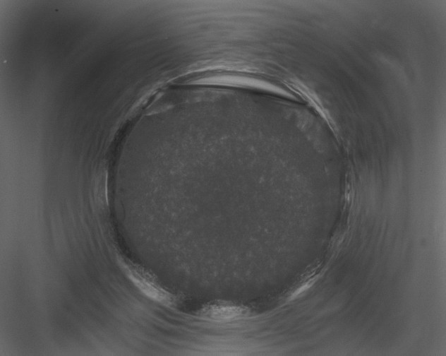 X0000084040205200702232334