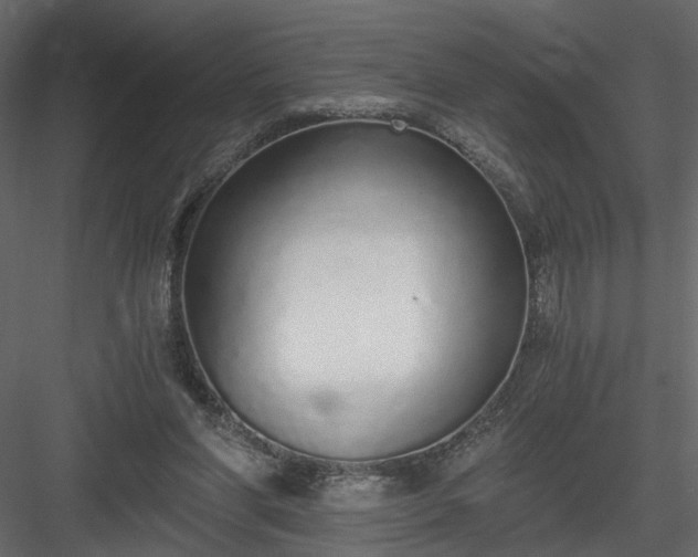 X0000084040206200702232334